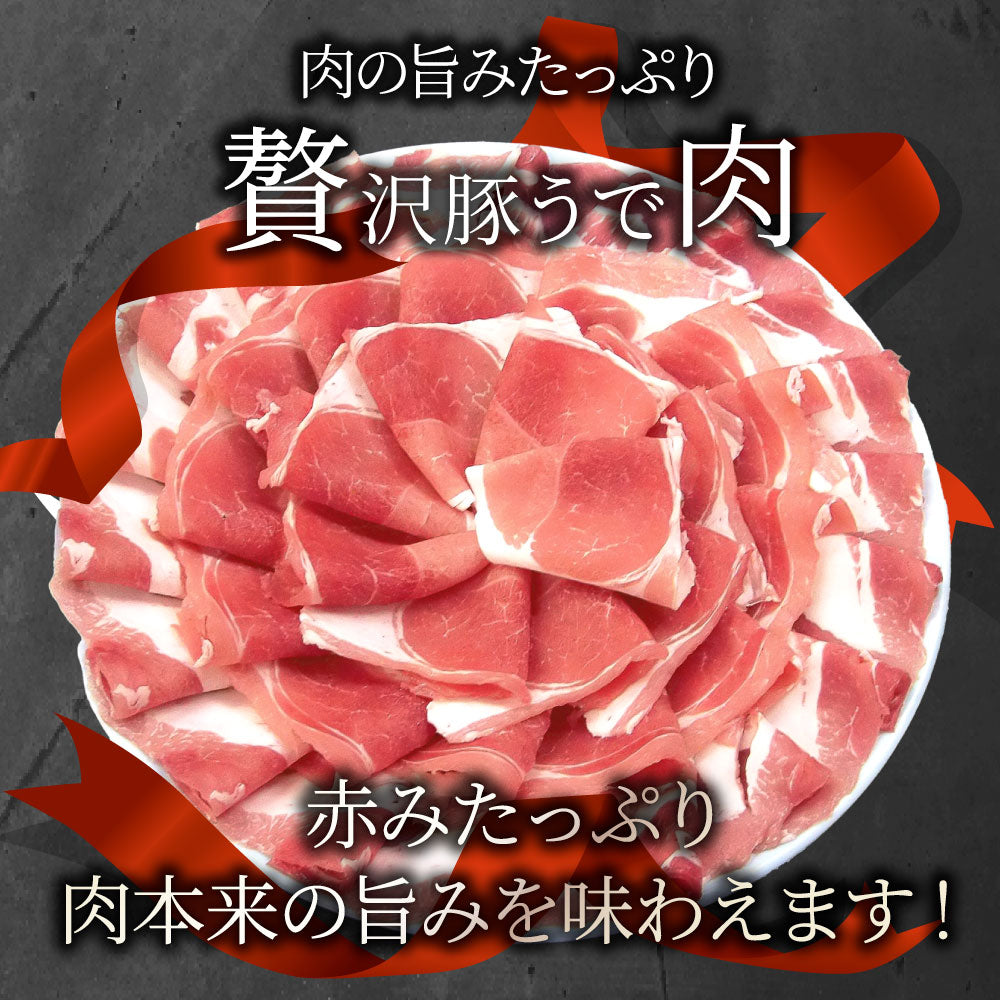 豚肉 国産 ウデ 切り落とし 500g 250g×2パック うで ぶた スライス 薄切り お得