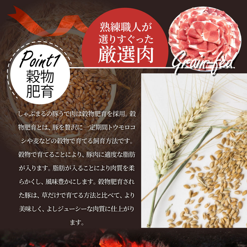豚肉 国産 ウデ 切り落とし 500g 250g×2パック うで ぶた スライス 薄切り お得