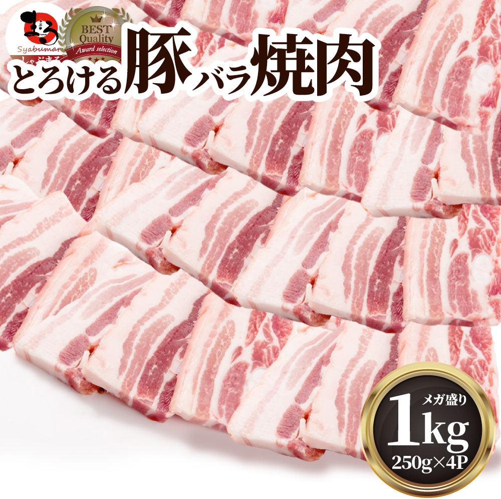 豚バラ肉 1kg スライス 焼肉 250g×4パック メガ盛り バーベキュー 焼肉 スライス バラ 小分け 便利