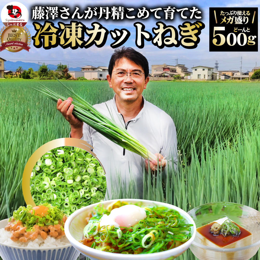 カットねぎ 500g ねぎ ネギ 藤澤さん家のカットねぎ 葱 冷凍 とれたてネギ 香川県産 冷凍野菜 時短 料理 簡単調理 包丁いらず – しゃぶまる