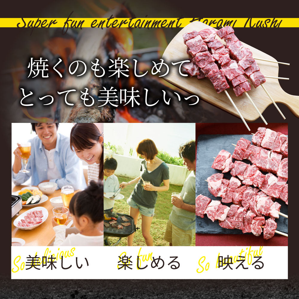 牛ハラミ串 10本セット (合計800g) 牛串 肉 牛 ハラミ 学園祭 屋台 業務用 串焼き 食べ物 食材 食品 パーティー BBQ バーベキュー キャンプ キャンプ飯