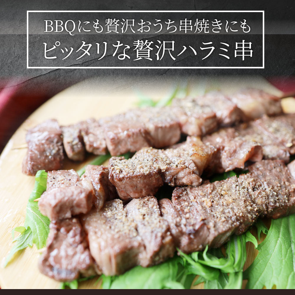 牛ハラミ串 40本セット (合計3.2kg) 牛串 肉 牛 ハラミ 学園祭 屋台 業務用 串焼き 食べ物 食材 食品 パーティー BBQ バーベキュー キャンプ キャンプ飯