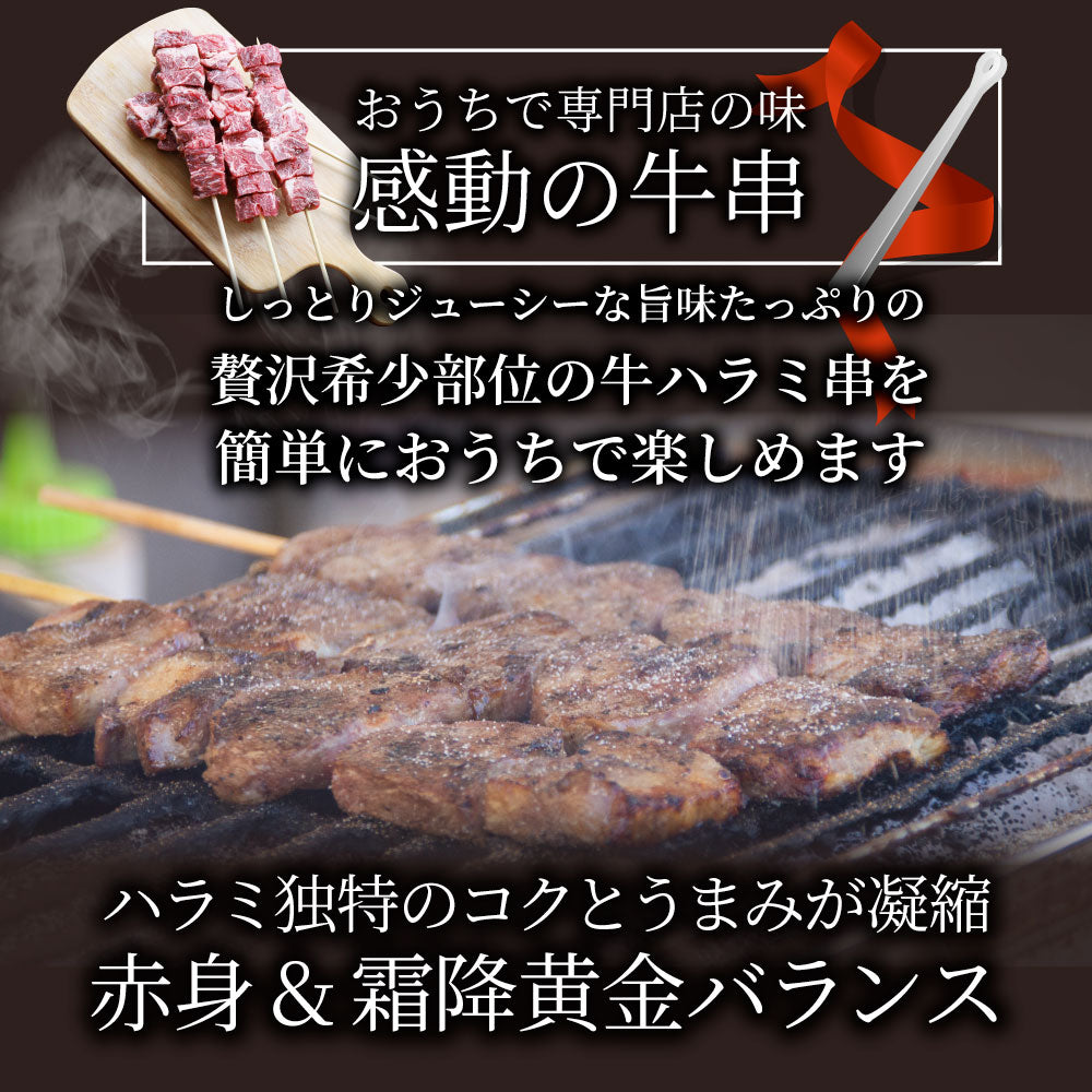 牛ハラミ串 10本セット (合計800g) 牛串 肉 牛 ハラミ 学園祭 屋台 業務用 串焼き 食べ物 食材 食品 パーティー BBQ バーベキュー キャンプ キャンプ飯