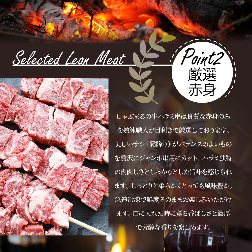 牛ハラミ串 10本セット (合計800g) 牛串 肉 牛 ハラミ 学園祭 屋台 業務用 串焼き 食べ物 食材 食品 パーティー BBQ バーベキュー キャンプ キャンプ飯