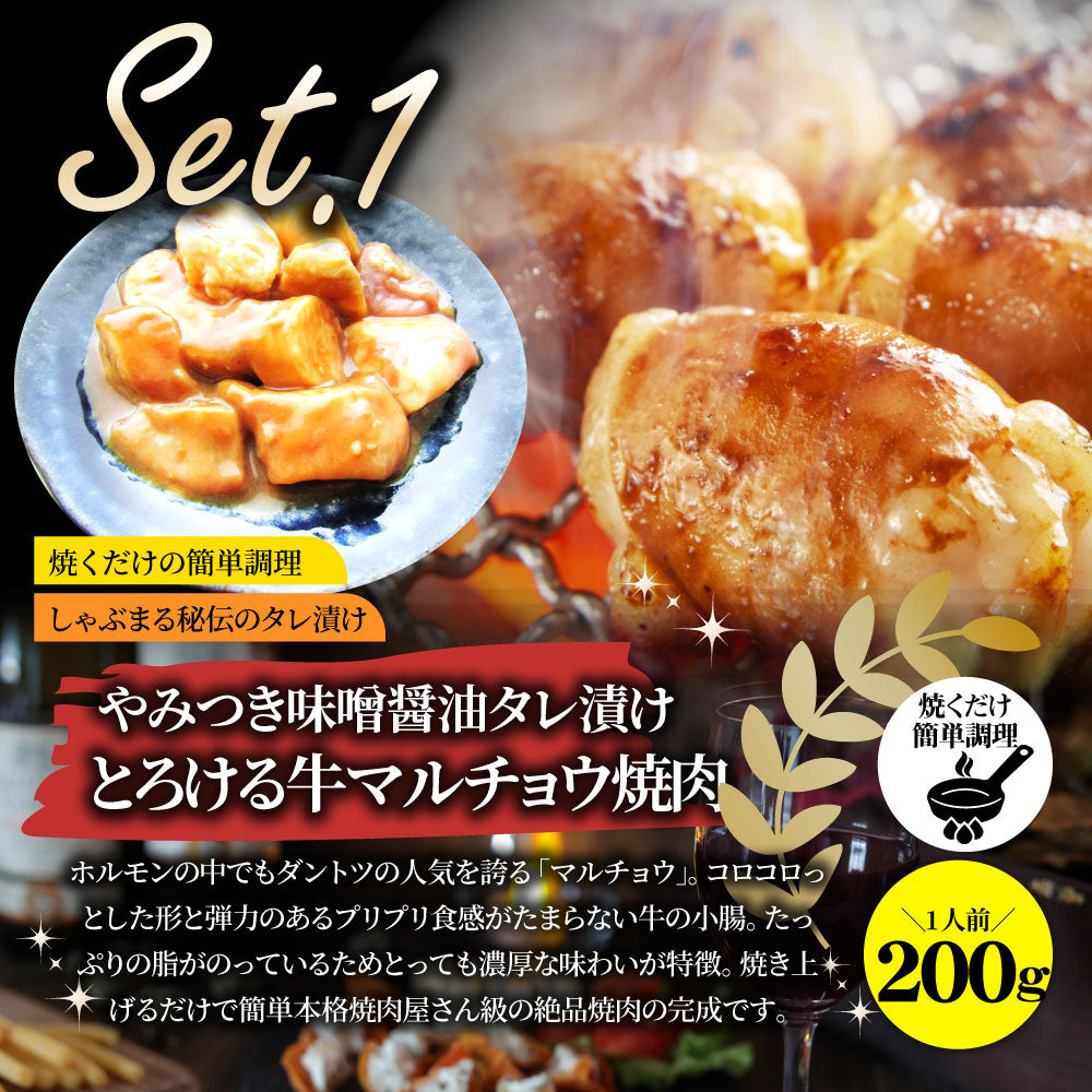 焼肉 セット 牛肉 肉 ホルモン 5種盛り 食べ比べ5人前 グルメ 福袋 マルチョウ ハラミ レバー シマチョウ アカセン