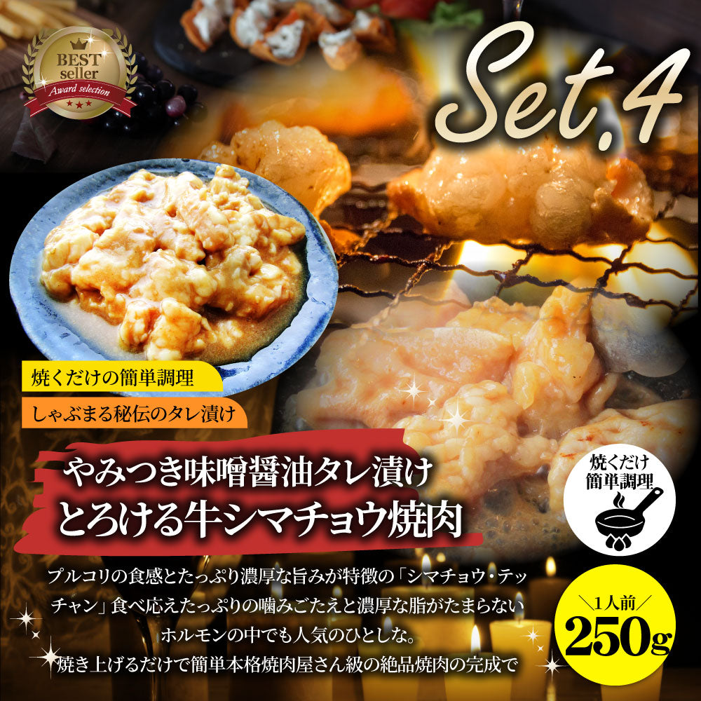 焼肉 セット 牛肉 肉 ホルモン 5種盛り 食べ比べ5人前 グルメ 福袋 マルチョウ ハラミ レバー シマチョウ アカセン
