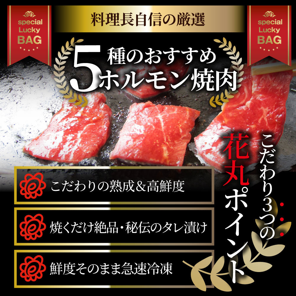 焼肉 セット 牛肉 肉 ホルモン 5種盛り 食べ比べ5人前 グルメ 福袋 マルチョウ ハラミ レバー シマチョウ アカセン