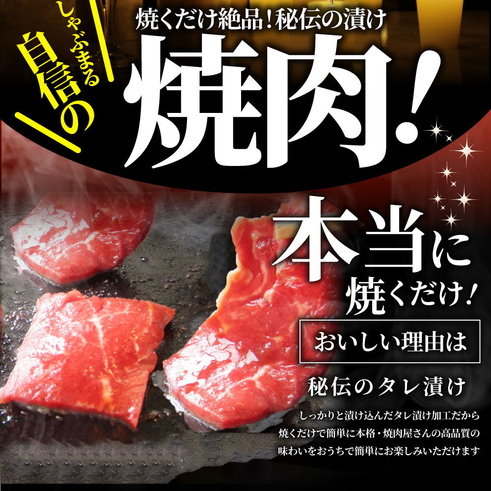 焼肉 セット 牛肉 肉 ホルモン 5種盛り 食べ比べ5人前 グルメ 福袋 マルチョウ ハラミ レバー シマチョウ アカセン