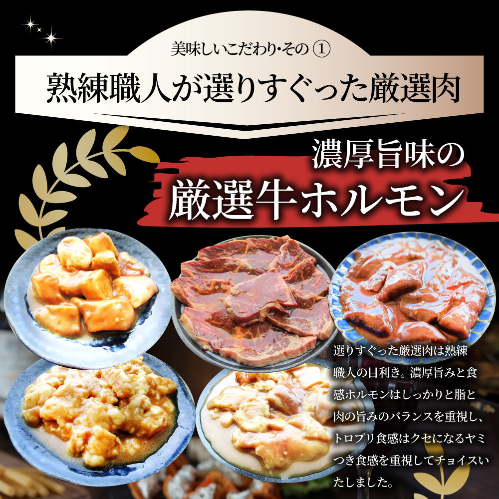焼肉 セット 牛肉 肉 ホルモン 5種盛り 食べ比べ5人前 グルメ 福袋 マルチョウ ハラミ レバー シマチョウ アカセン