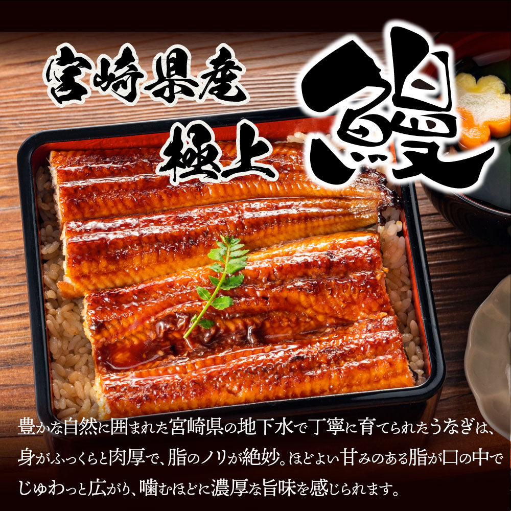 うなぎ 鰻 国産 宮崎産 蒲焼 まるごと1本 2尾 たれ・山椒付き 鰻 かば焼き 国産 土用 丑の日 湯煎 レンチン レンジOK 惣菜 冷凍食品 グルメ
