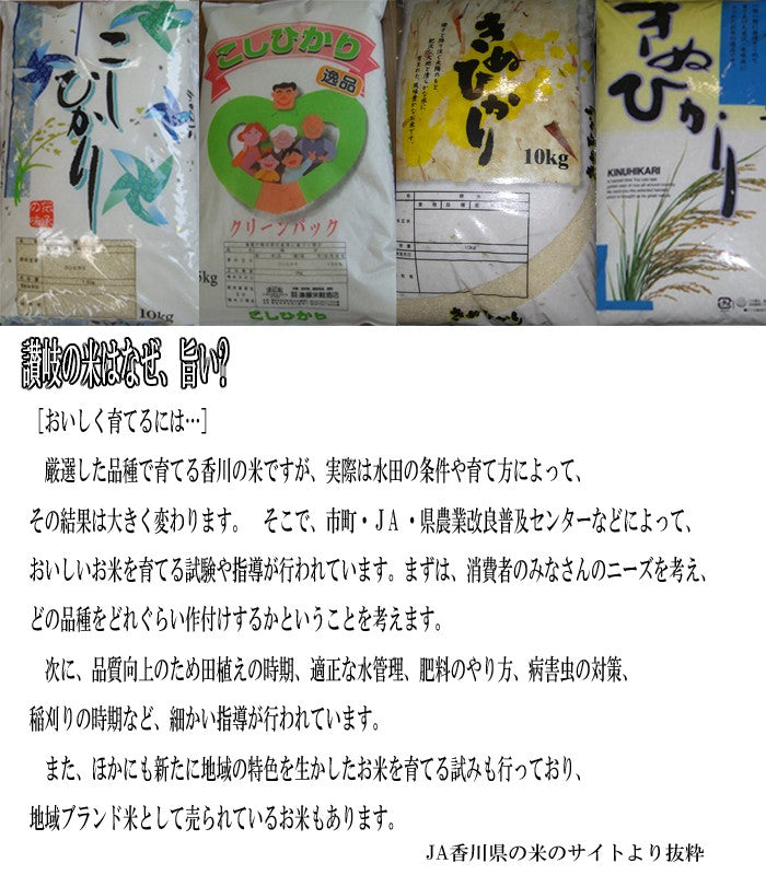 香川県産 こしひかり 玄米 5kg お中元 ギフト 食品 プレゼント 女性 男性 お祝い 新生活