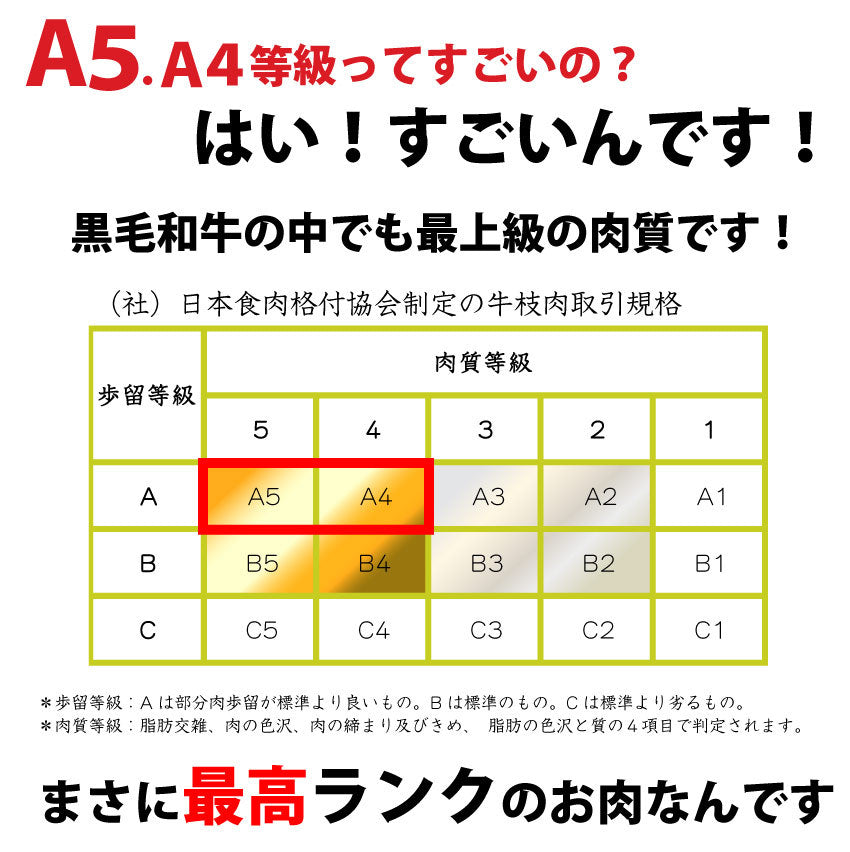 牛肉 肉 プレゼント 特選 オリーブ牛 A4,5等級 とろける 黒毛和牛 ロース 焼肉 500g(250g×2) お中元 ギフト 食品 プレゼント 女性 男性 お祝い 新生活