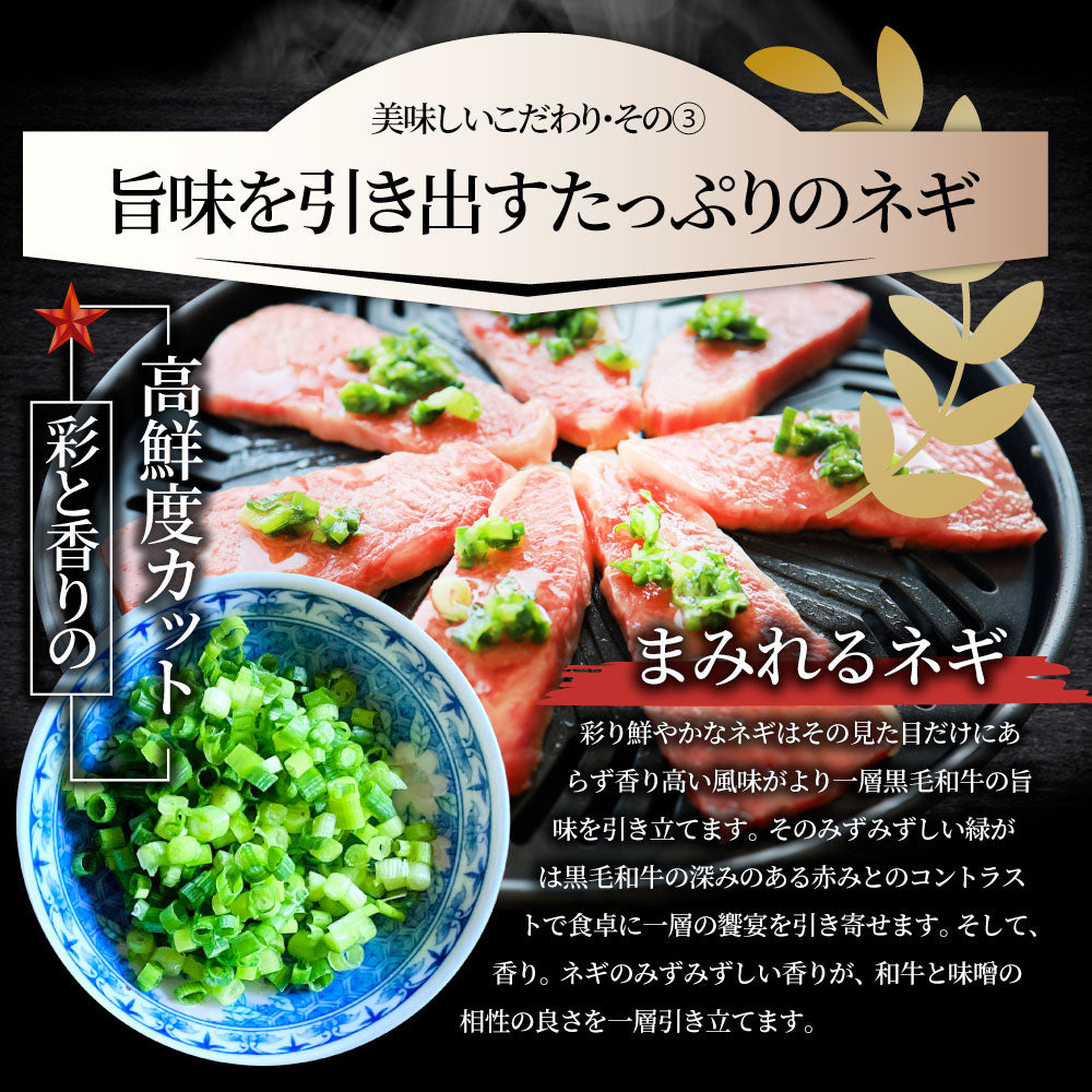 A4,A5等級 特選 黒毛和牛 カルビ焼肉 ねぎまみれ 味噌ダレ&塩ダレ 食べ比べ 500g(250g×各1) 牛肉 肉 敬老の日 お歳暮 ギフト 食品 お祝い 霜降り 贅沢 黒毛 和牛 国産 祝い お祝い返し 記念 通販 お取り寄せ グルメ 誕生日 焼肉セット 焼肉 牛 内祝