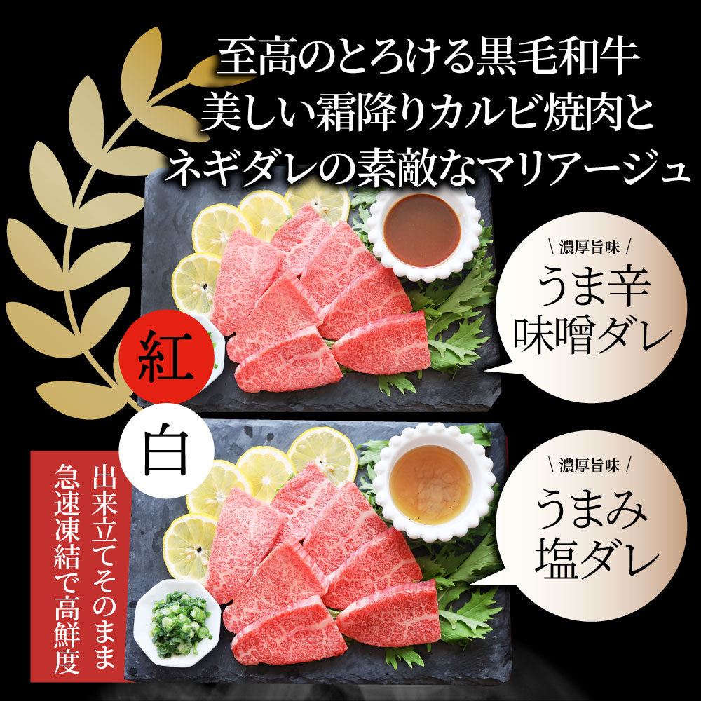 A4,A5等級 特選 黒毛和牛 カルビ焼肉 ねぎまみれ 味噌ダレ&塩ダレ 食べ比べ 500g(250g×各1) 牛肉 肉 敬老の日 お歳暮 ギフト 食品 お祝い 霜降り 贅沢 黒毛 和牛 国産 祝い お祝い返し 記念 通販 お取り寄せ グルメ 誕生日 焼肉セット 焼肉 牛 内祝