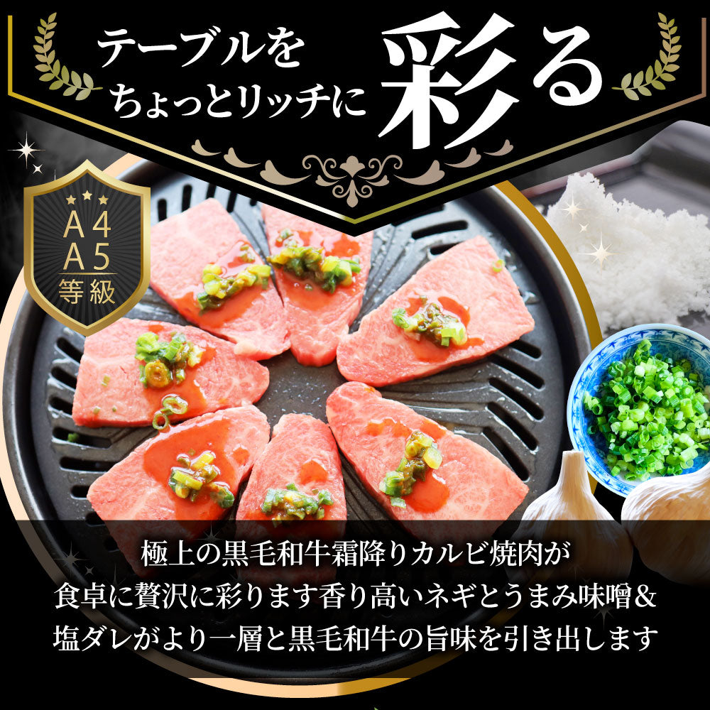 A4,A5等級 特選 黒毛和牛 カルビ焼肉 ねぎまみれ 味噌ダレ&塩ダレ 食べ比べ 500g(250g×各1) 牛肉 肉 敬老の日 お歳暮 ギフト 食品 お祝い 霜降り 贅沢 黒毛 和牛 国産 祝い お祝い返し 記念 通販 お取り寄せ グルメ 誕生日 焼肉セット 焼肉 牛 内祝