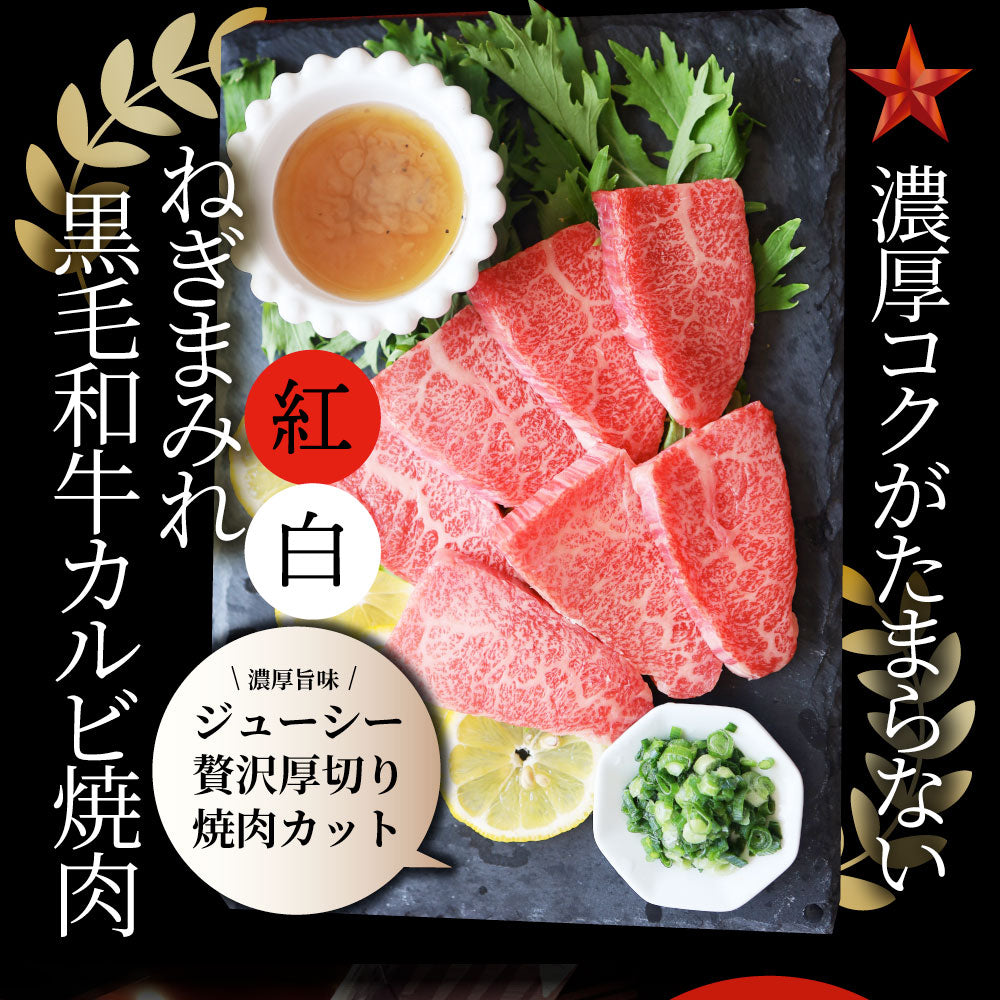 A4,A5等級 特選 黒毛和牛 カルビ焼肉 ねぎまみれ 味噌ダレ&塩ダレ 食べ比べ 500g(250g×各1) 牛肉 肉 敬老の日 お歳暮 ギフト 食品 お祝い 霜降り 贅沢 黒毛 和牛 国産 祝い お祝い返し 記念 通販 お取り寄せ グルメ 誕生日 焼肉セット 焼肉 牛 内祝
