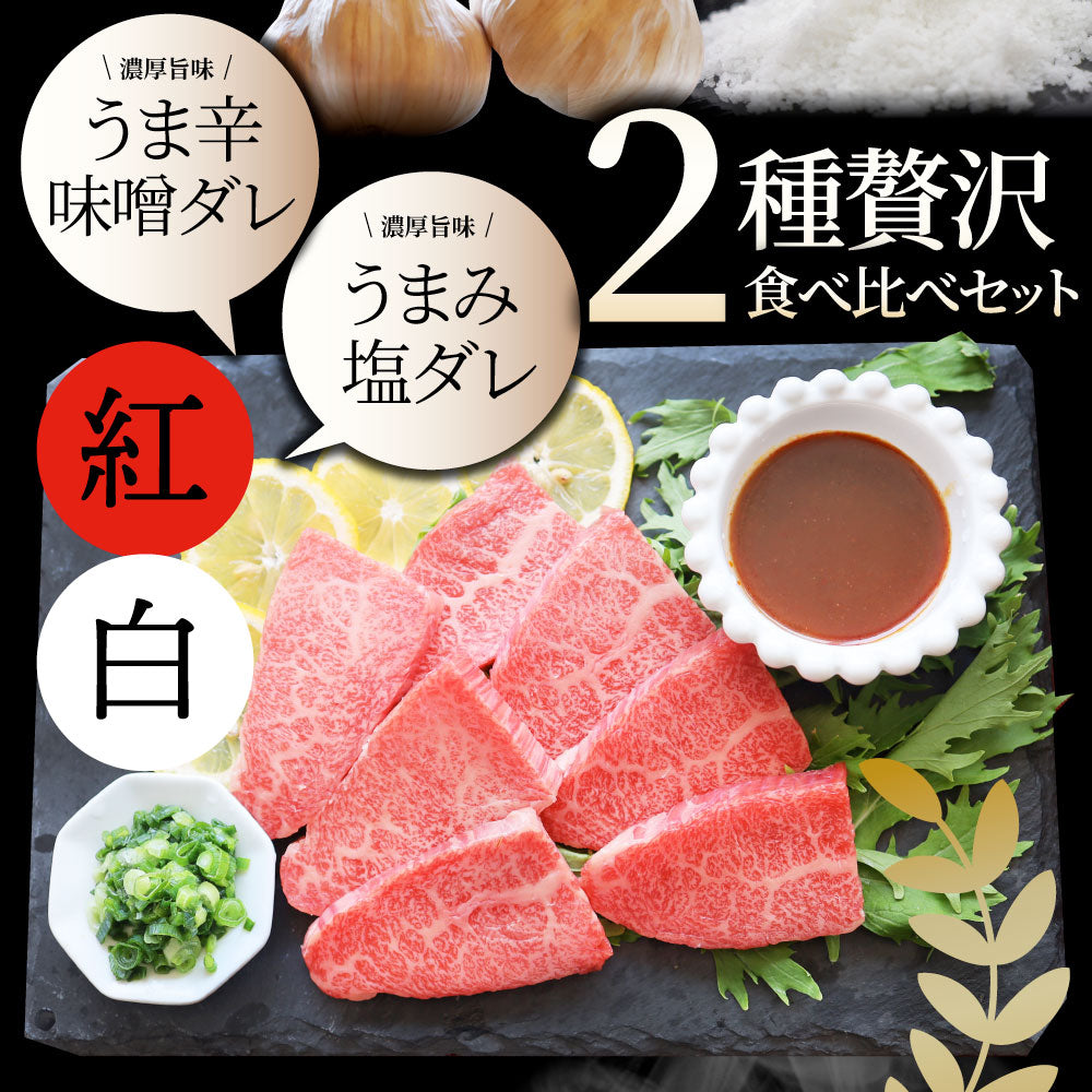 A4,A5等級 特選 黒毛和牛 カルビ焼肉 ねぎまみれ 味噌ダレ&塩ダレ 食べ比べ 500g(250g×各1) 牛肉 肉 敬老の日 お歳暮 ギフト 食品 お祝い 霜降り 贅沢 黒毛 和牛 国産 祝い お祝い返し 記念 通販 お取り寄せ グルメ 誕生日 焼肉セット 焼肉 牛 内祝