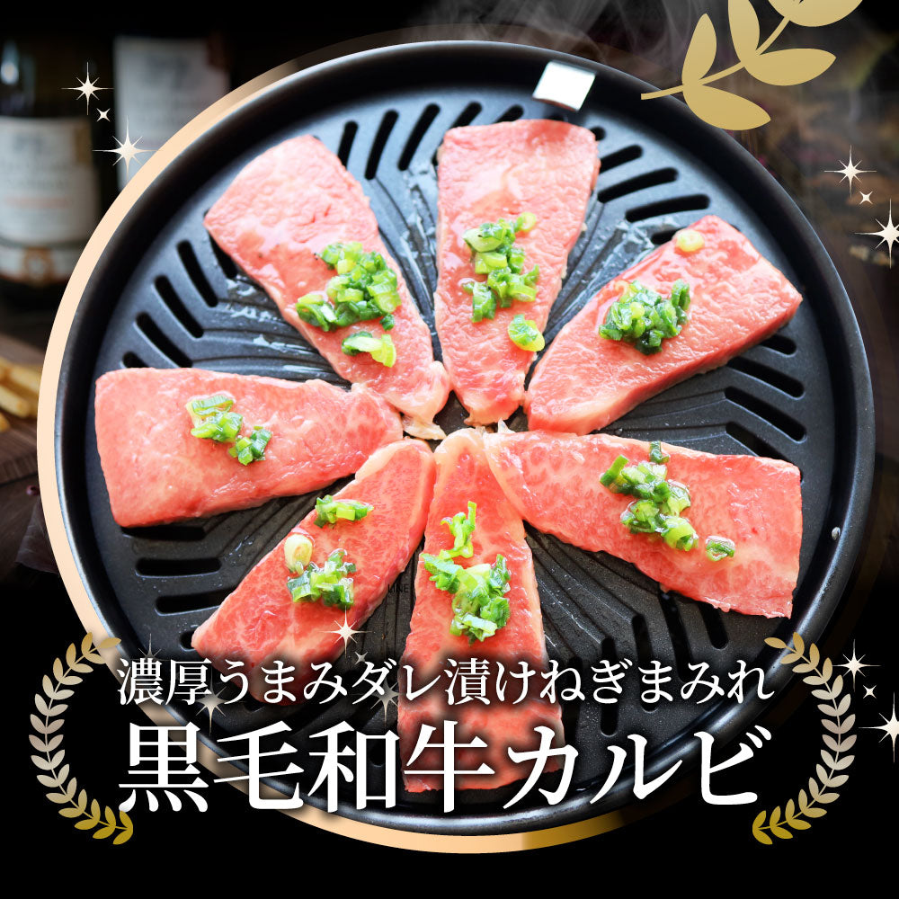A4,A5等級 特選 黒毛和牛 カルビ焼肉 ねぎまみれ 味噌ダレ&塩ダレ 食べ比べ 500g(250g×各1) 牛肉 肉 敬老の日 お歳暮 ギフト 食品 お祝い 霜降り 贅沢 黒毛 和牛 国産 祝い お祝い返し 記念 通販 お取り寄せ グルメ 誕生日 焼肉セット 焼肉 牛 内祝