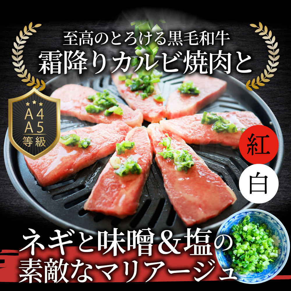 A4,A5等級 特選 黒毛和牛 カルビ焼肉 ねぎまみれ 味噌ダレ&塩ダレ 食べ比べ 500g(250g×各1) 牛肉 肉 敬老の日 お歳暮 ギフト 食品 お祝い 霜降り 贅沢 黒毛 和牛 国産 祝い お祝い返し 記念 通販 お取り寄せ グルメ 誕生日 焼肉セット 焼肉 牛 内祝
