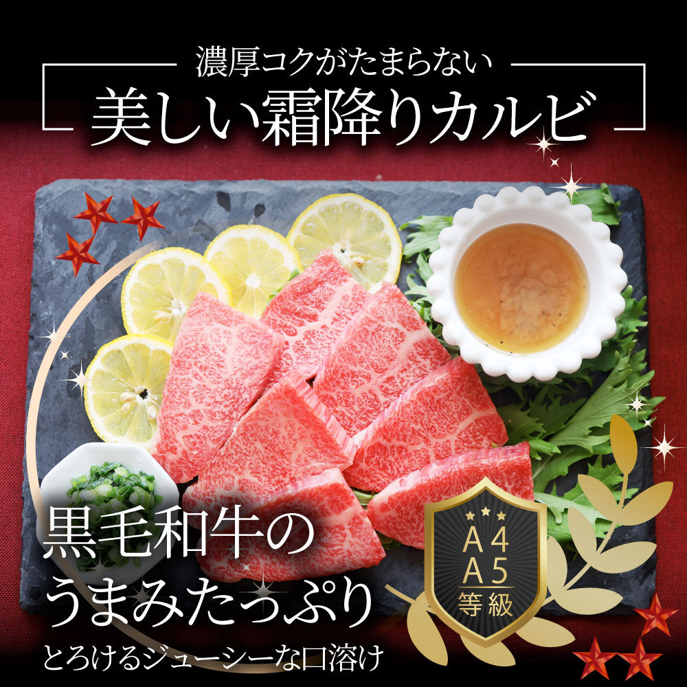A4,A5等級 特選 黒毛和牛 カルビ焼肉 ねぎまみれ 味噌ダレ&塩ダレ 食べ比べ 500g(250g×各1) 牛肉 肉 敬老の日 お歳暮 ギフト 食品 お祝い 霜降り 贅沢 黒毛 和牛 国産 祝い お祝い返し 記念 通販 お取り寄せ グルメ 誕生日 焼肉セット 焼肉 牛 内祝