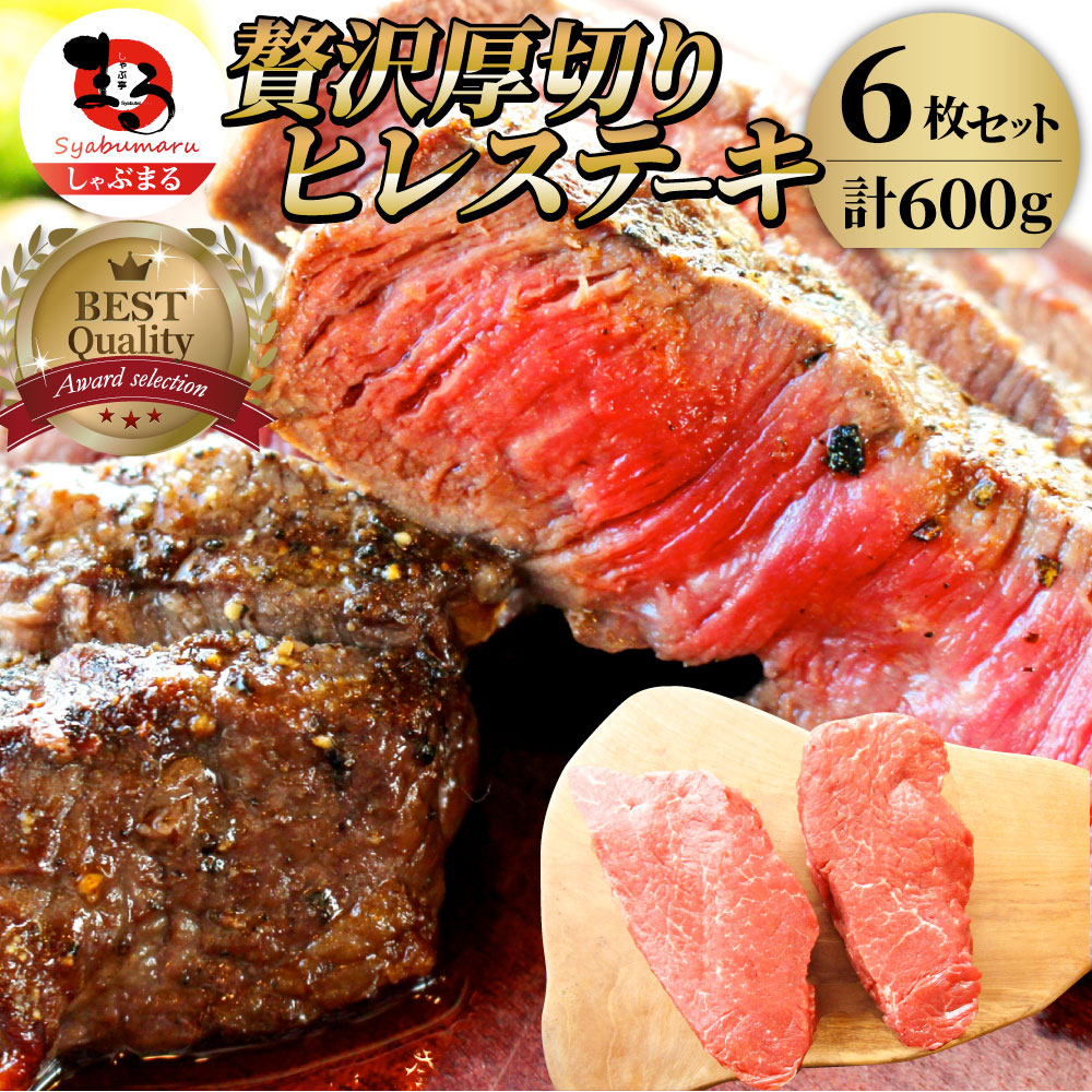 牛肉 ヒレ ステーキ 詰め合わせ 100g×6枚セット 赤身 牛 ヒレ肉 バーベキュー BBQ グルメ お中元 ギフト 食品 プレゼント キャンプ キャンプ飯