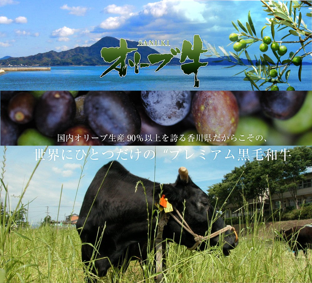 牛肉 肉 プレゼント 特選 オリーブ牛 A4,5等級 とろける 黒毛和牛 ロース 焼肉 500g(250g×2) お中元 ギフト 食品 プレゼント 女性 男性 お祝い 新生活