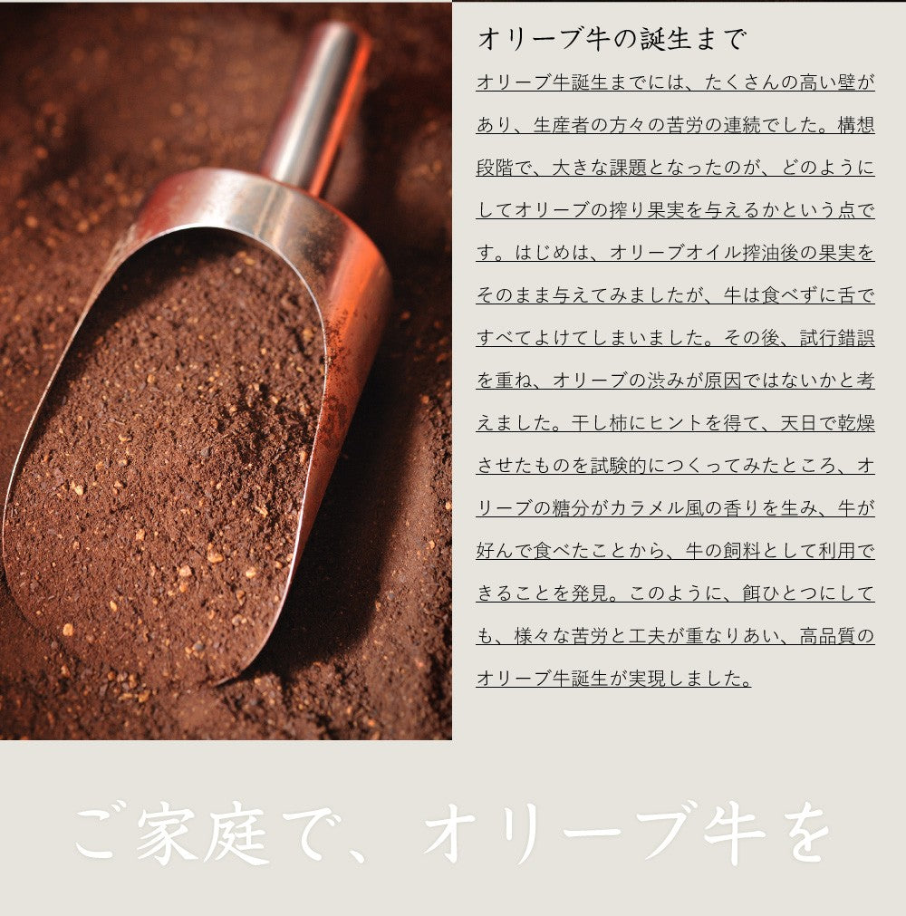牛肉 肉 プレゼント 特選 オリーブ牛 A4,5等級 とろける 黒毛和牛 ロース 焼肉 500g(250g×2) お中元 ギフト 食品 プレゼント 女性 男性 お祝い 新生活