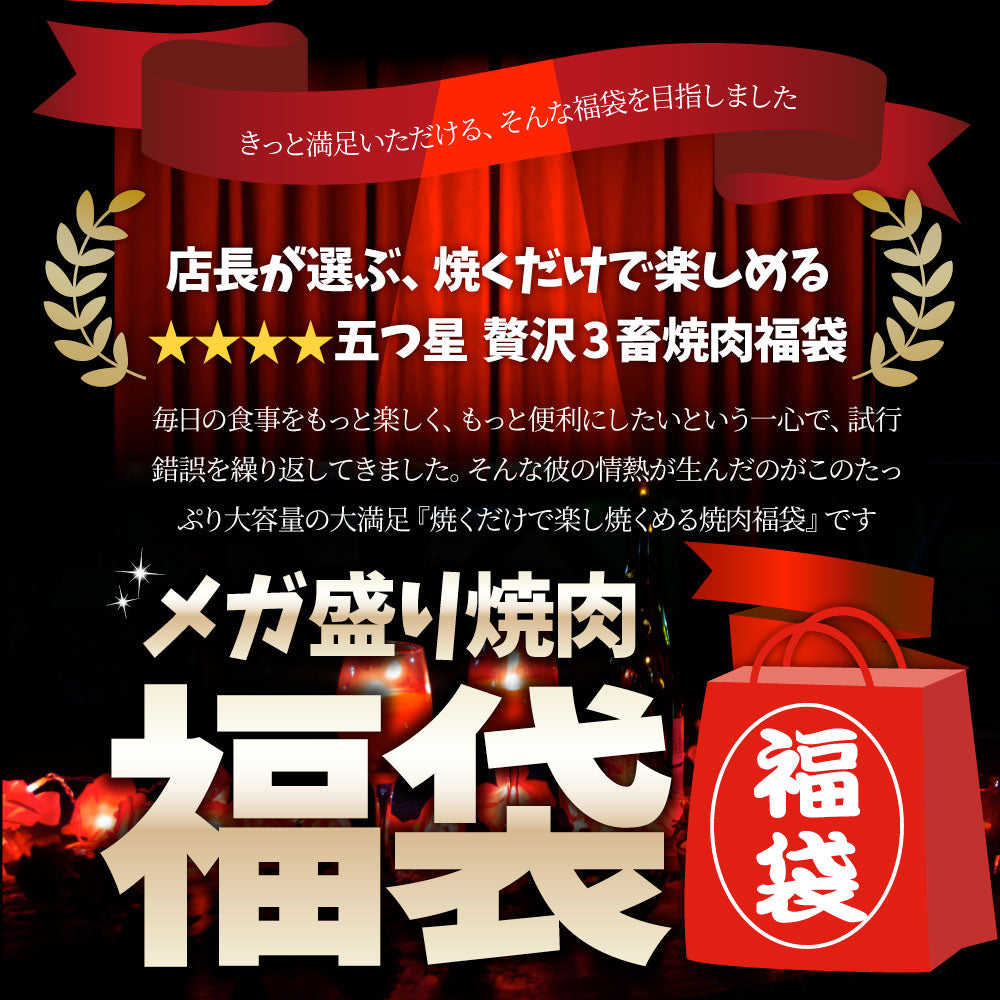 メガ盛り肉の福袋 絶品 焼肉 セット 総重量750g 牛 ハラミ 焼肉 & 豚味噌 カルビ 焼肉 牛肉 焼くだけ&レンジで簡単調理