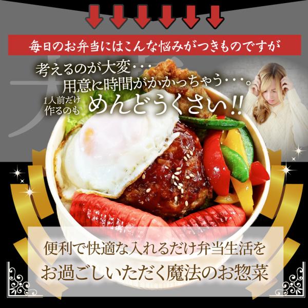 お弁当 お惣菜福袋 メガ盛り 3種 3kg 大容量 売れ筋 大満足 そうざい お惣菜 冷凍 セット 唐揚げ ハンバーグ ウインナー 肉 母の日 父の日 ギフト 食べ物