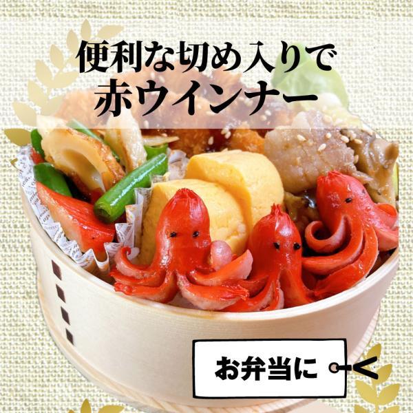 お弁当 お惣菜福袋 メガ盛り 3種 3kg 大容量 売れ筋 大満足 そうざい お惣菜 冷凍 セット 唐揚げ ハンバーグ ウインナー 肉 母の日 父の日 ギフト 食べ物