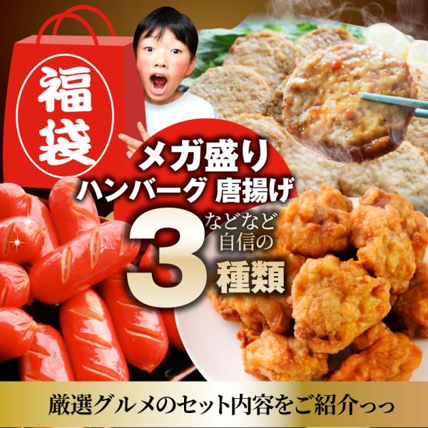 お弁当 お惣菜福袋 メガ盛り 3種 3kg 大容量 売れ筋 大満足 そうざい お惣菜 冷凍 セット 唐揚げ ハンバーグ ウインナー 肉 母の日 父の日 ギフト 食べ物
