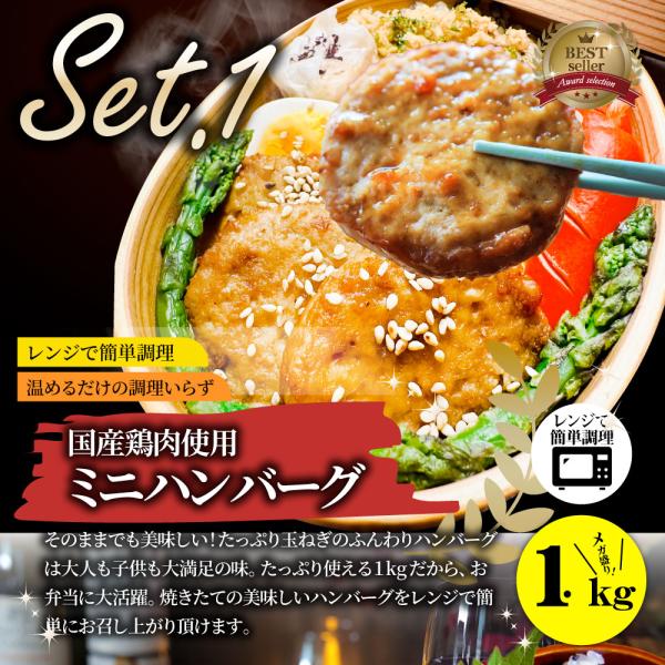 お弁当 お惣菜福袋 メガ盛り 3種 3kg 大容量 売れ筋 大満足 そうざい お惣菜 冷凍 セット 唐揚げ ハンバーグ ウインナー 肉 母の日 父の日 ギフト 食べ物