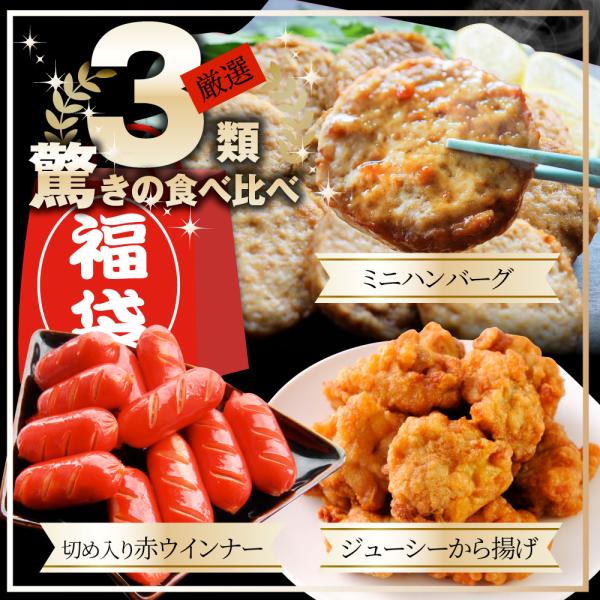お弁当 お惣菜福袋 メガ盛り 3種 3kg 大容量 売れ筋 大満足 そうざい お惣菜 冷凍 セット 唐揚げ ハンバーグ ウインナー 肉 母の日 父の日 ギフト 食べ物
