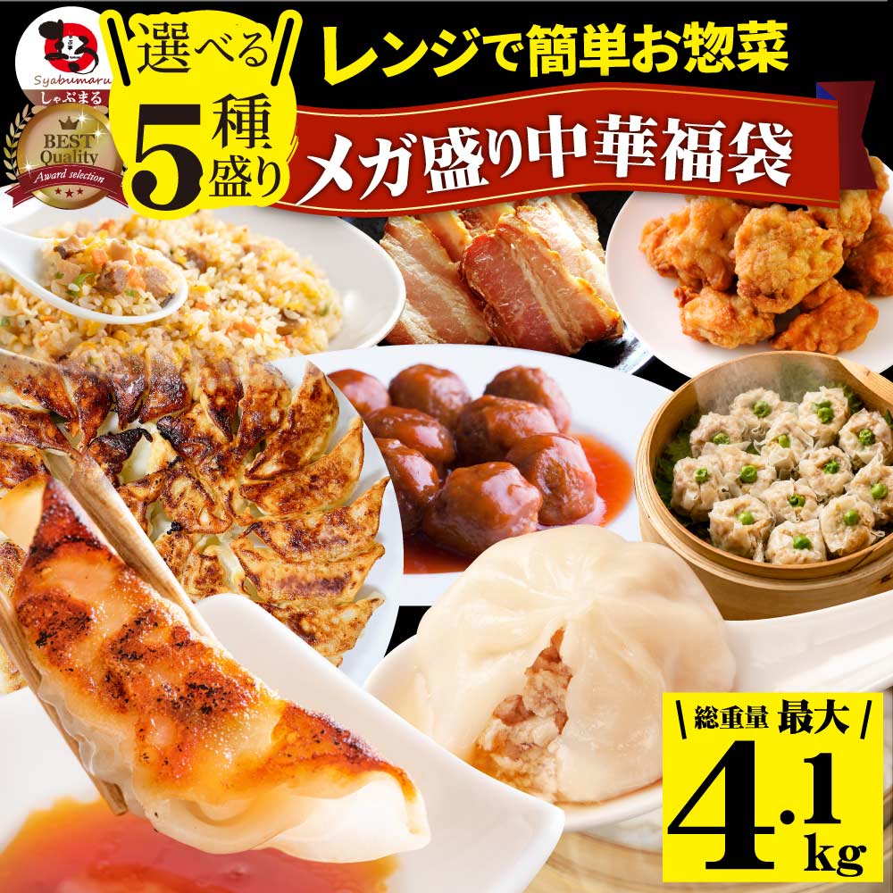 中華 点心 惣菜 《総重量最大4.1kg》 福袋 2種から選べるセット 餃子 焼売 小籠包 唐揚げ チャーハン 焼飯 肉団子 焼豚 肉 ギフト プレゼント 爆買
