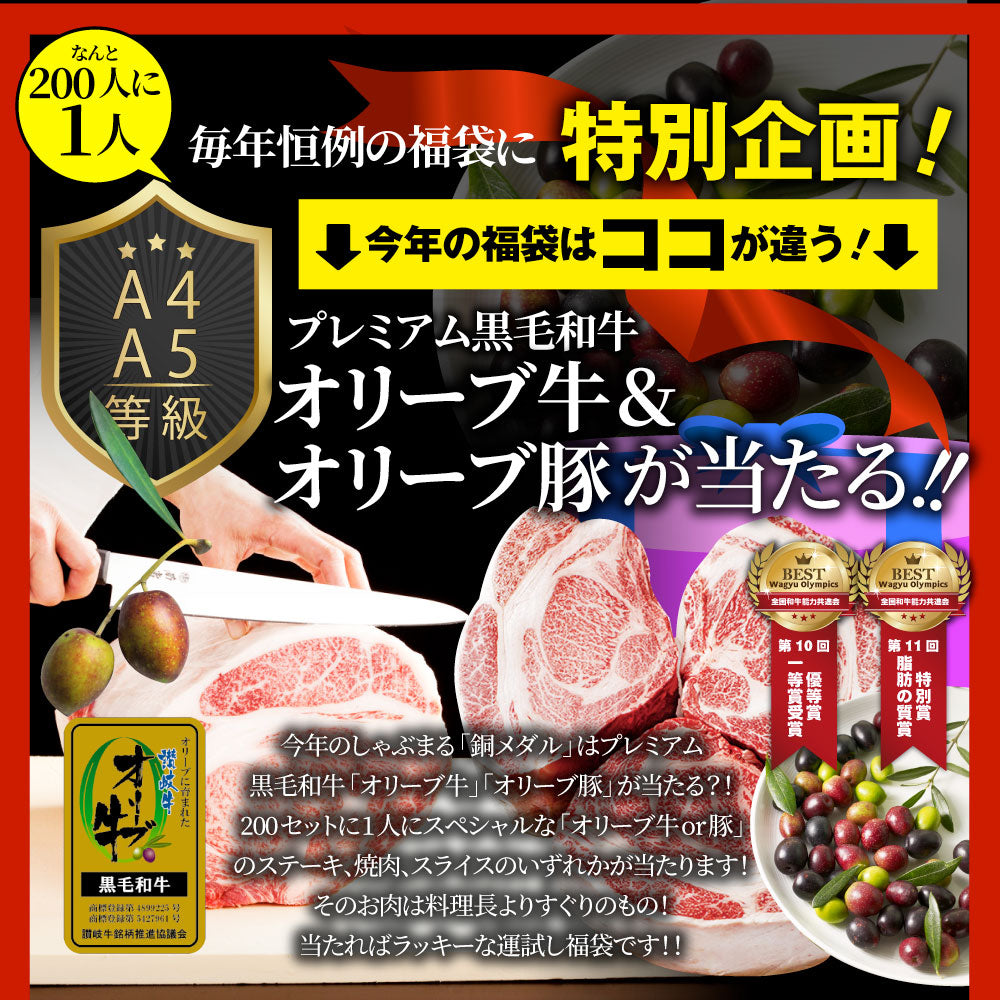 2025 肉 福袋 牛肉 食品 肉の福袋 銅メダル メガ盛り 総重量2.4kg超 焼くだけ&レンジで簡単調理!ランキング1位&人気のお肉豪華セット 焼肉 ハラミ ランキング1位 ハンバーグ 時短 プレゼント 送料無料