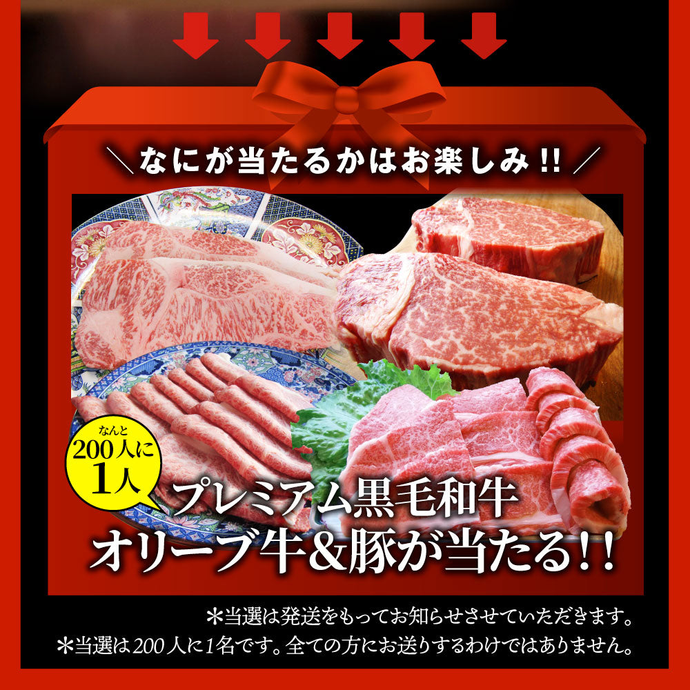 2025 肉 福袋 牛肉 食品 肉の福袋 銅メダル メガ盛り 総重量2.4kg超 焼くだけ&レンジで簡単調理!ランキング1位&人気のお肉豪華セット 焼肉 ハラミ ランキング1位 ハンバーグ 時短 プレゼント 送料無料