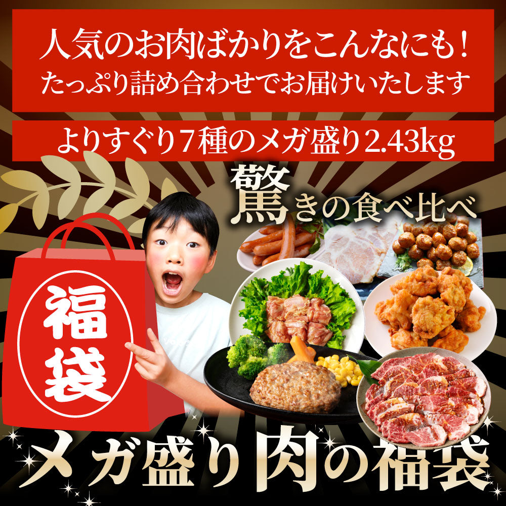 2025 肉 福袋 牛肉 食品 肉の福袋 銅メダル メガ盛り 総重量2.4kg超 焼くだけ&レンジで簡単調理!ランキング1位&人気のお肉豪華セット 焼肉 ハラミ ランキング1位 ハンバーグ 時短 プレゼント 送料無料