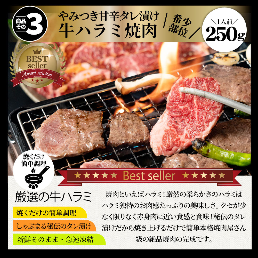 肉 福袋 2023年 国産牛入り 肉の福袋 「竹福袋」牛肉 食品 メガ盛り 総重量2.8kg超 焼くだけ&レンジで簡単調理!ランキング1位&人気のお肉豪華セット 国産牛ステーキ 国産牛焼肉