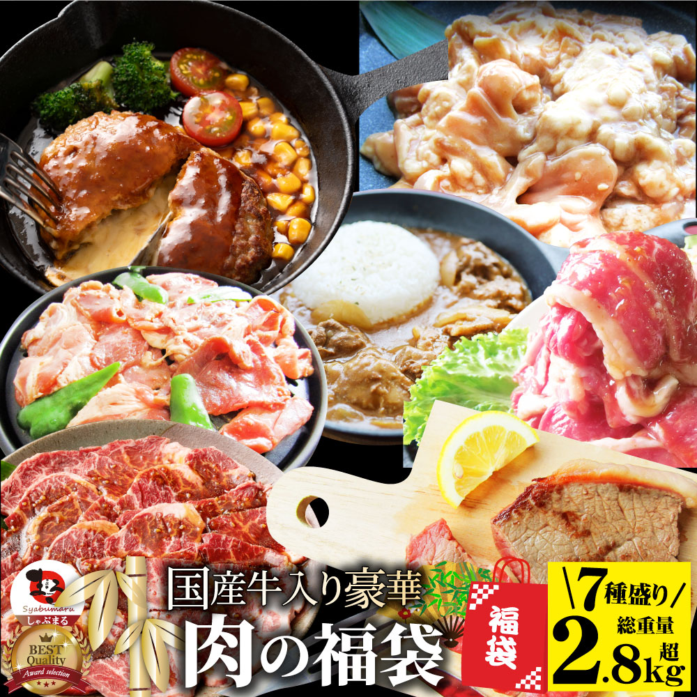 肉 福袋 2023年 国産牛入り 肉の福袋 「竹福袋」牛肉 食品 メガ盛り 総重量2.8kg超 焼くだけ&レンジで簡単調理!ランキング1位&人気のお肉豪華セット 国産牛ステーキ 国産牛焼肉
