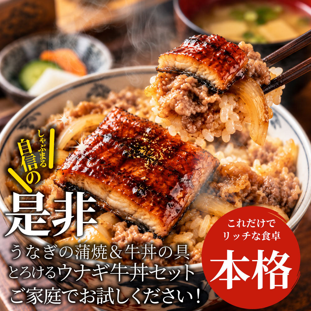 うなぎ牛丼 各3食セットセット うなぎ 牛丼 ウナギ 鰻 丼の具 蒲焼き 牛肉 スタミナ飯 ご飯のお供 おかず 惣菜 冷凍食品 簡単調理 ランチ 夜食 惣菜 冷凍ストック ご飯もの お取り寄せ