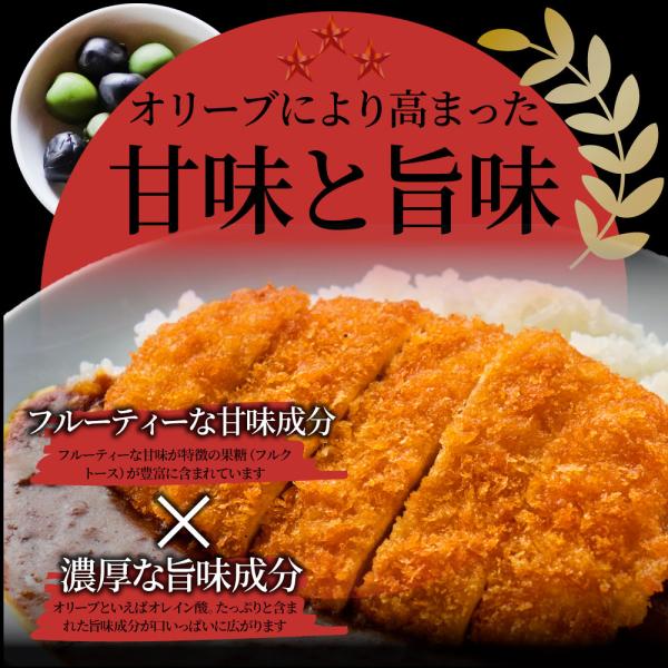 豚肉 肉 オリーブ豚 国産 ロース とんかつ用 3kg (100g×30) 冷凍 グルメ トンテキ とんかつ トンカツ 豚 香川県産 ブランド