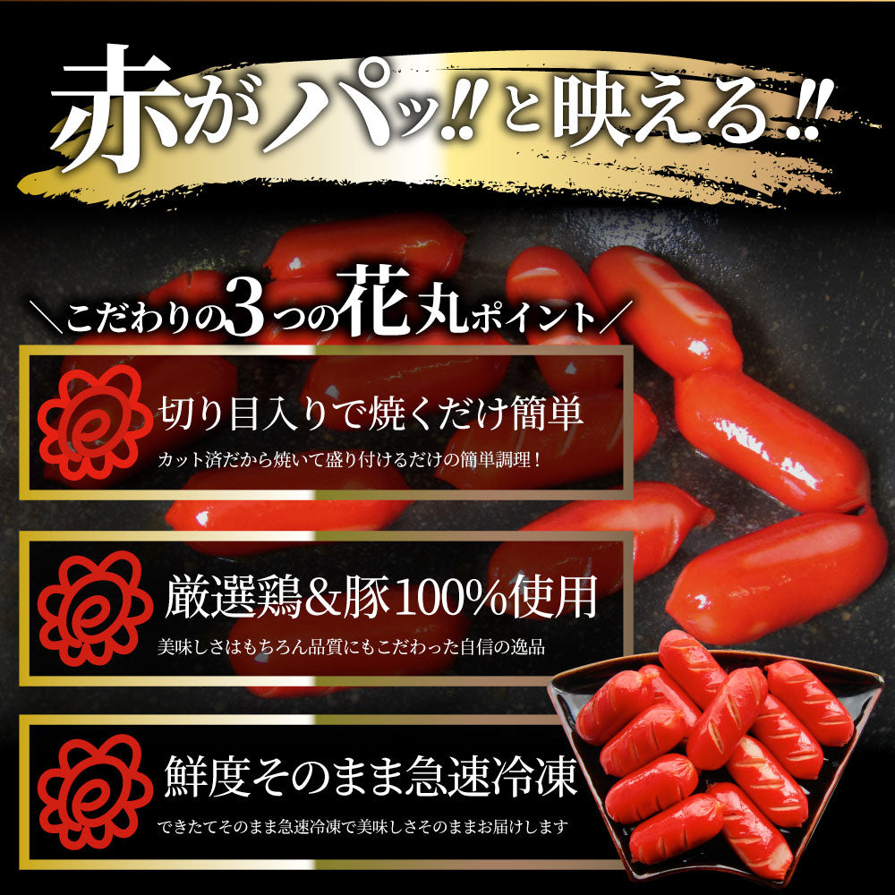 ウインナー 赤ウインナー 10kg(1kg×10) 厳選肉使用 タコさんウインナー 豚 焼肉セット 朝食 焼くだけ お弁当 弁当 アウトドア お家焼肉 送料無料