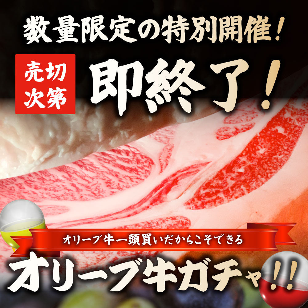 A5等級 オリーブ牛 ガチャ 最大20万円分 黒毛和牛 部位ガチャ 冷凍 お取り寄せ ギフト 高級食材 ブランド牛 福袋 当たる 豪華 牛肉 すき焼き 焼肉 ステーキ 和牛