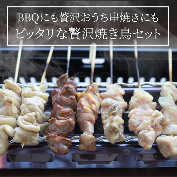 国産若鶏 親鶏 焼き鳥 串5種 食べ比べ 40本 (10本入り×4) もも ネギ 鶏皮 ずり おつまみ 酒の肴 珍味 鶏 親鳥 若鳥 送料無料 国産 地鶏 おかず 惣菜