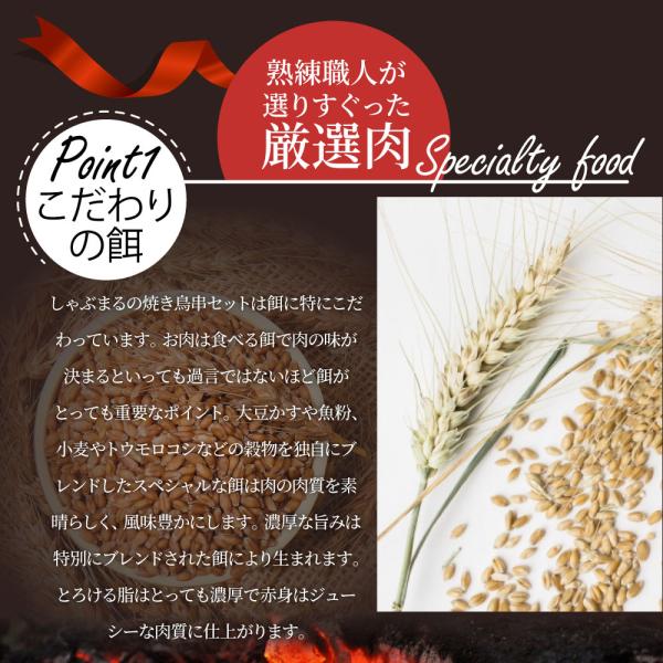 国産若鶏 親鶏 焼き鳥 串5種 食べ比べ 40本 (10本入り×4) もも ネギ 鶏皮 ずり おつまみ 酒の肴 珍味 鶏 親鳥 若鳥 送料無料 国産 地鶏 おかず 惣菜