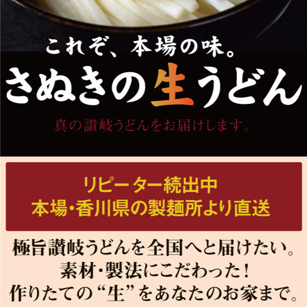 ポッキリ 送料無料 うどん 讃岐うどん 生うどん 9食セット 生麺 300g×3袋 冷やし 温うどん 香川県 産地直送 お試し おすすめ グルメ 食品