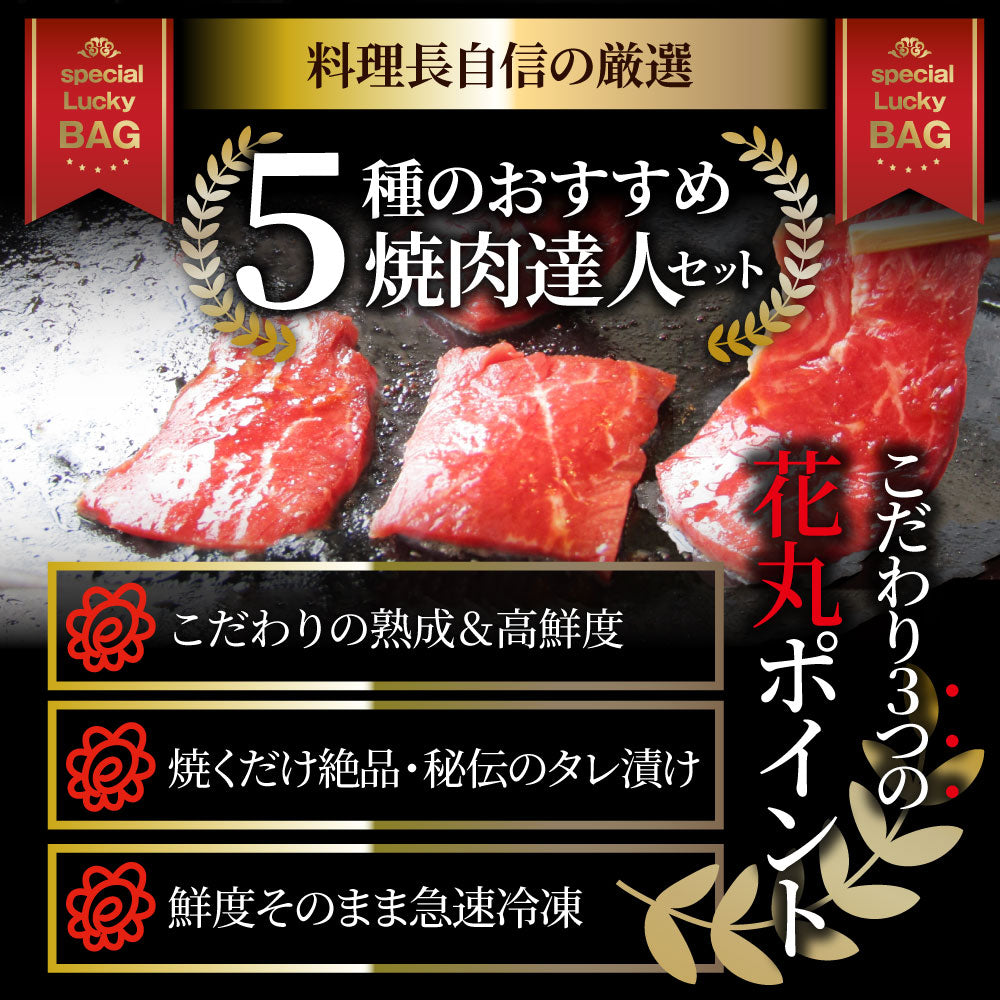 焼肉 セット 牛肉 肉 達人セット 5種盛り 食べ比べ5人前 カルビ ホルモン 福袋 バレンタイン ギフト 食品 プレゼント 女性 男性 お祝い 新生活