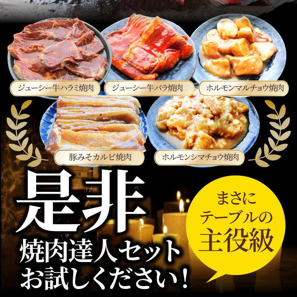 焼肉 セット 牛肉 肉 達人セット 5種盛り 食べ比べ5人前 カルビ ホルモン 福袋 バレンタイン ギフト 食品 プレゼント 女性 男性 お祝い 新生活