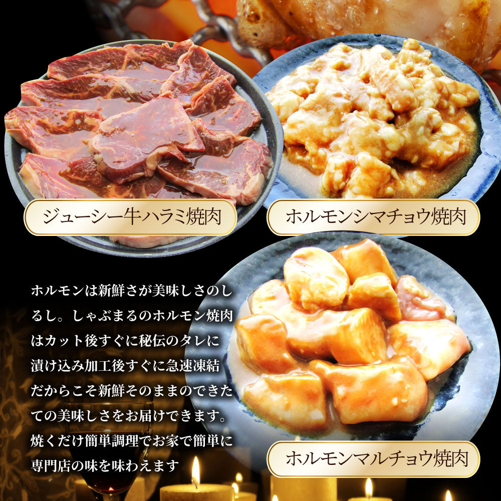 焼肉 セット 牛肉 肉 達人セット 5種盛り 食べ比べ5人前 カルビ ホルモン 福袋 バレンタイン ギフト 食品 プレゼント 女性 男性 お祝い 新生活