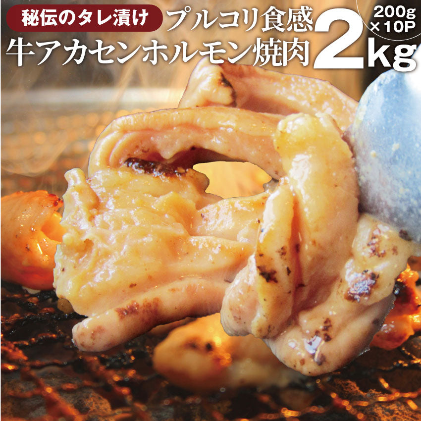 焼肉 牛肉 肉 アカセン ホルモン 2kg 200g×10袋 タレ漬け あかせん ギアラ ぎあら 焼くだけ 焼肉用 BBQ キャンプ キャンプ飯